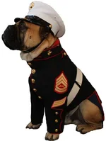 Devil Dog.webp