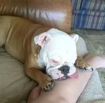 photo(4).webp photo(4).webp