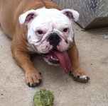 photo(1).webp