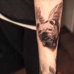 Bully Tat.jpg Bully Tat.jpg