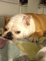 photo (1).webp