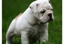 Screenshot_2013-09-26-12-18-56-1.webp