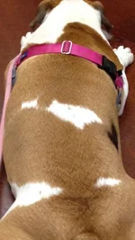 photo.webp