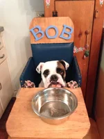 bobchair.webp bobchair.webp