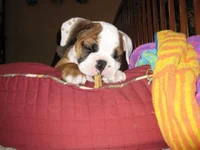 3-12-11 (1).webp