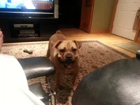 20130918_211930.webp