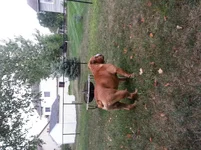 20130820_183109.webp