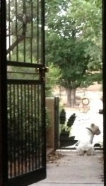 unnamed (7).jpg