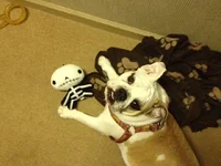 photo (2).webp photo (2).webp