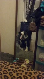 970382_10201234765250204_2126892225_n.webp