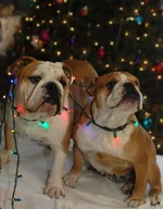 Max&Eva XMass 2013.webp