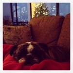 Snuggle Face.jpg