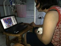 bert candy crush.webp bert candy crush.webp