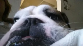 Harlea Selfie.webp