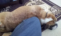 20140111_132528.webp