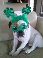 photo (1).webp