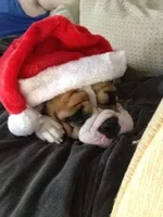 photo (2).webp