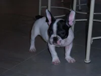 1st day home.webp