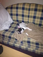 sleepy.webp