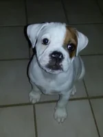 20130816_174633-1.webp