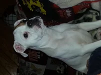 20131001_200912.webp