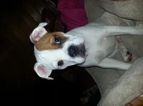 20131003_190922.webp