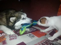 20130919_215502.webp