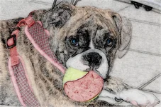 bpaint01.webp