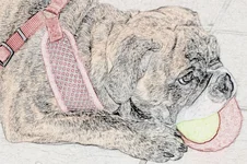 bcolorpen01.webp