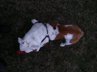 2014-01-13 14.46.11.webp