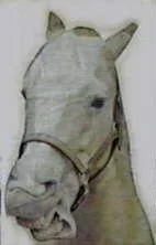 mred1.webp