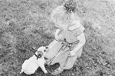 szpen01.webp