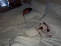 2013-04-05_08-35-06_670.webp 2013-04-05_08-35-06_670.webp