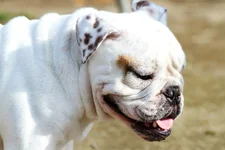 031 (9) (1).webp