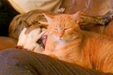 Besties.jpg Besties.jpg