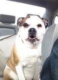 sadie OEB IBR.jpg sadie OEB IBR.jpg