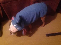 image.webp