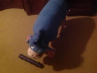 image.webp
