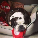 Mabel.webp Mabel.webp