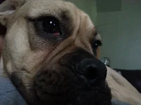 20131001_125430.webp