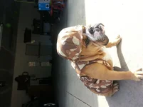 20131006_115606.webp