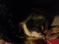20131005_231603(0).webp