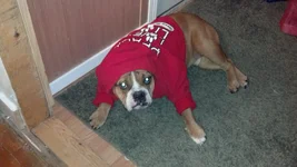 IMG_20131125_194919_962.webp