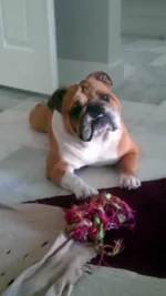 IMAG0876.webp