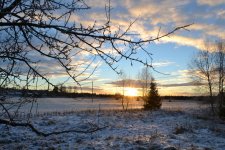 DSC_0008.jpg DSC_0008.jpg