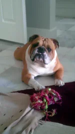 IMAG0877.webp