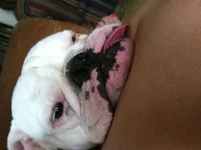 photo(12).webp