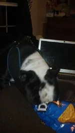 1376443_10201239611651361_441694252_n.webp