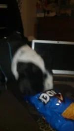 1377352_10201239611891367_659354920_n.webp