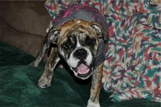 baileyS070.webp